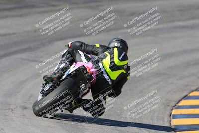 media/Feb-04-2024-SoCal Trackdays (Sun) [[91d6515b1d]]/4-Bowl Backside (11am)/